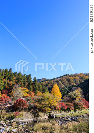 Early Morning Autumn Leaves, Korankei, Aichi Prefecture Early Morning Autumn Leaves, Korankei, Aichi Prefecture 62189185