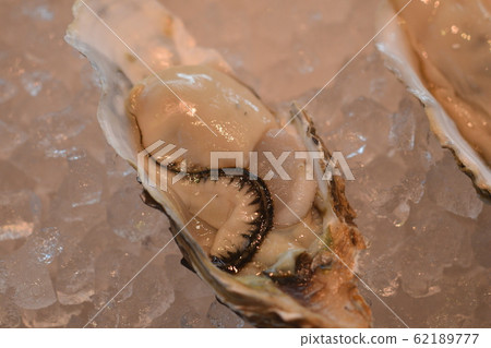 Okinawa Fish Market Okinawa Fish Market 62189777