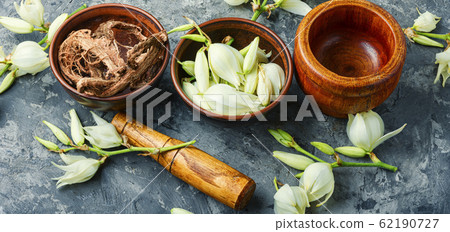 Yucca flowers in medicine. 62190727