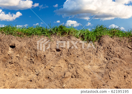 Topsoil of a Cambisol or Inceptisol Topsoil of a Cambisol or Inceptisol 62195195