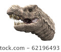 Tyrannosaurus 62196493