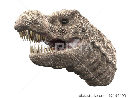 Tyrannosaurus 62196493