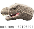 Tyrannosaurus 62196494