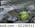 Watermelon to chill in the river 62196911