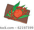 Matsuba crab @crab 62197399