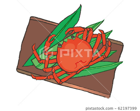 Matsuba crab @crab Matsuba crab @crab 62197399