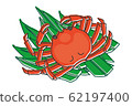 Matsuba crab @crab 62197400
