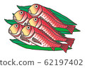 Golden bream alfonsino 62197402