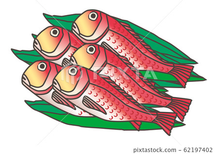 Golden bream alfonsino 62197402