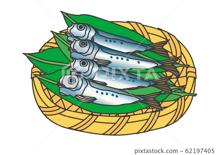 Sardine / sardine 62197405
