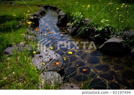 River flowing in park River flowing in park 62197494