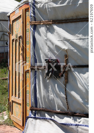 Mongolian gel 62197609