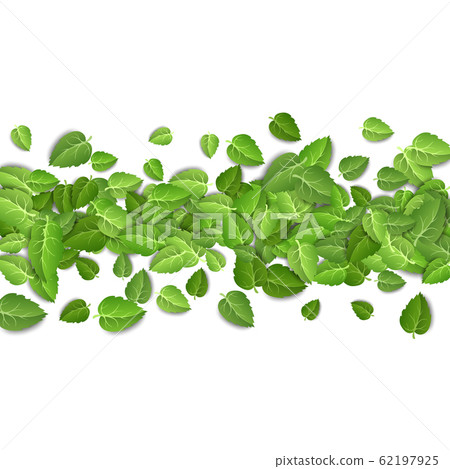 Flying green leaves on white background. Spring leaf pattern on isolated backdrop. Fall fresh leaves plant. Vector illustration closeup 62197925