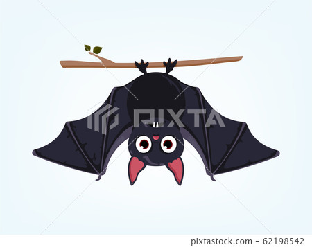 Bat Bat 62198542