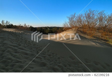 Sunset view of nordic dunes, forests and bushes at Baltic sea at Curonian spit, Nida, Klaipeda, Lithuania Sunset view of nordic dunes, forests and bushes at Baltic sea at Curonian spit, Nida, Klaipeda, Lithuania 62199216