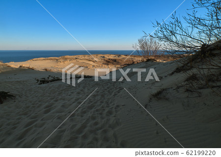 Sunset view of nordic dunes and bushes at Baltic sea at Curonian spit, Nida, Klaipeda, Lithuania Sunset view of nordic dunes and bushes at Baltic sea at Curonian spit, Nida, Klaipeda, Lithuania 62199220