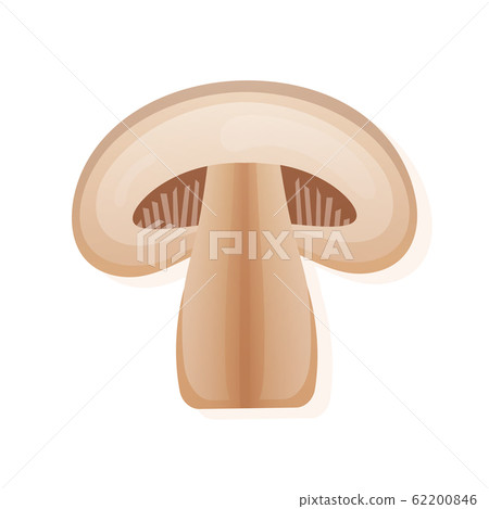 Fresh champignon mushrooms slice, isolated on white background. Vector illustration. Fresh champignon mushrooms slice, isolated on white background. Vector illustration. 62200846