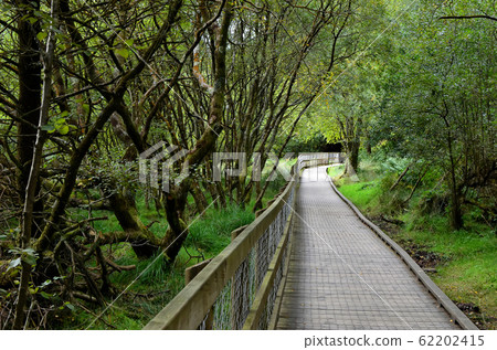 walking route through nature park in Glendalough walking route through nature park in Glendalough 62202415