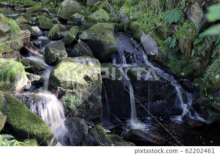 small forrest river and waterfall landscape 62202461