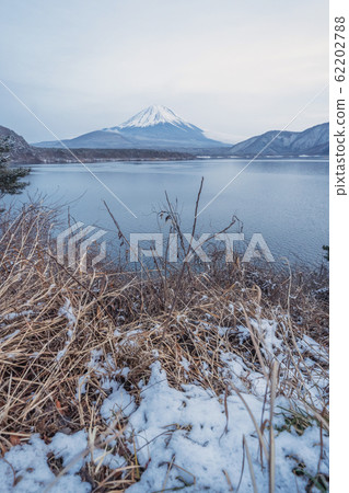 Lake Saiko, Fuji five lake.Mountain Fuji with snow 62202788