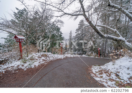 Pathway with snow trees tunnel corridor and Pathway with snow trees tunnel corridor and 62202796