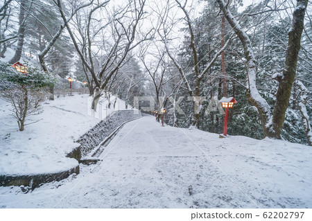 Pathway with snow trees tunnel corridor and 62202797