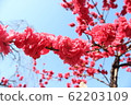 花 62203109