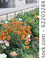 花 62203284