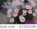 花 62203286