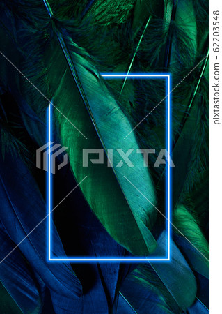 Neon glowing feathers of a bird background with glowing frame. Flat lay. Neon glowing feathers of a bird background with glowing frame. Flat lay. 62203548