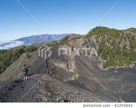 Volcanic landscape with lush green pine trees, colorful volcanoes and lava rock field along path Ruta de los Volcanes, hiking trail at La Palma island, Canary Islands, Spain, Blue sky background 62203682