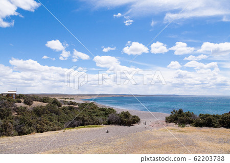 Punta Tombo beach day view, Patagonia, Argentina 62203788