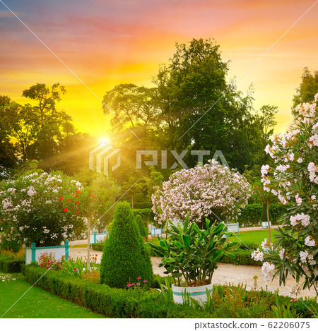 Beautiful city park in the evening in summer. Beautiful city park in the evening in summer. 62206075