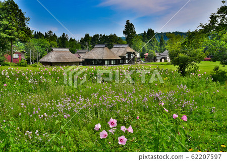 Niigata Prefecture Haginoshima Village Niigata Prefecture Haginoshima Village 62207597