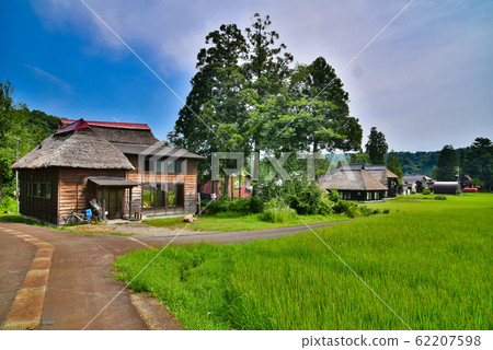 Niigata Prefecture Haginoshima Village Niigata Prefecture Haginoshima Village 62207598