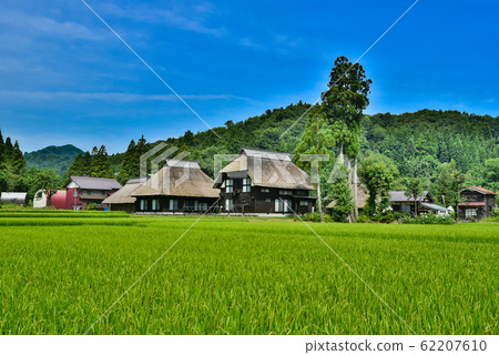 新潟縣Ha野島村 62207610