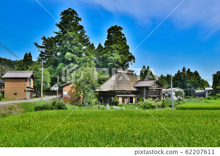 新潟縣Ha野島村 62207611