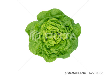Trocadero lettuce salad head top view Trocadero lettuce salad head top view 62208135