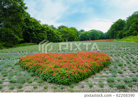 心花圖案 62208390