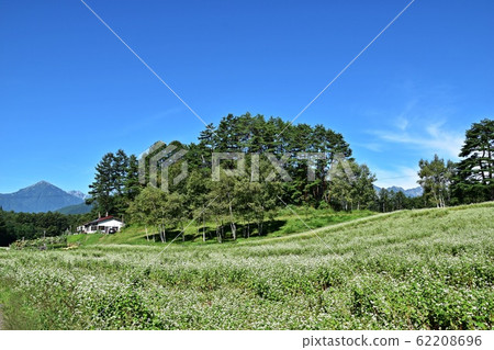 Shinshu Nakayama Kogen in early summer 62208696