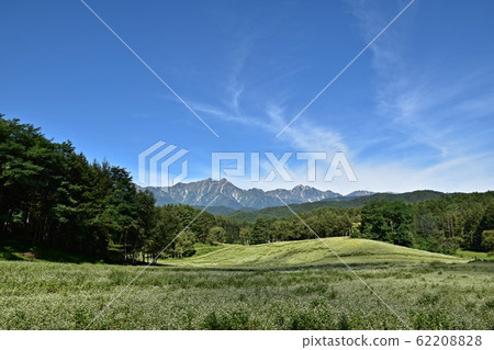 在初夏就可以欣賞到中山信州高原和北阿爾卑斯山美景的蕎麥田 62208828