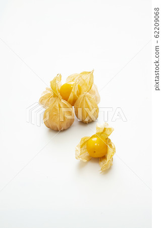 食用hozuki 62209068