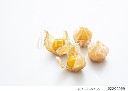 食用hozuki 62209069