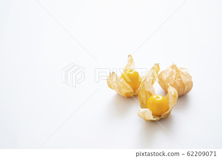 食用hozuki 62209071