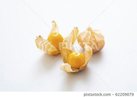 食用hozuki 62209079