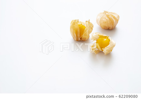 Edible hozuki 62209080