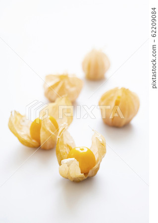 食用hozuki 62209084