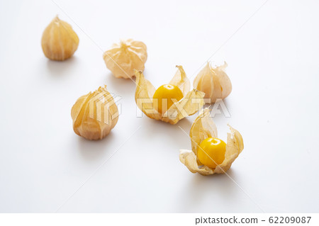 食用hozuki 62209087