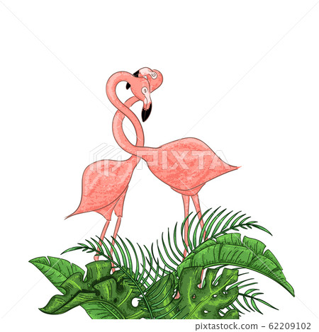 Beautiful floral exotic vector illustration with pink flamingo, tropical leaves. Beautiful floral exotic vector illustration with pink flamingo, tropical leaves. 62209102