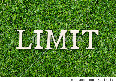 Wood alphabet letter in word limit on green grass 62212415